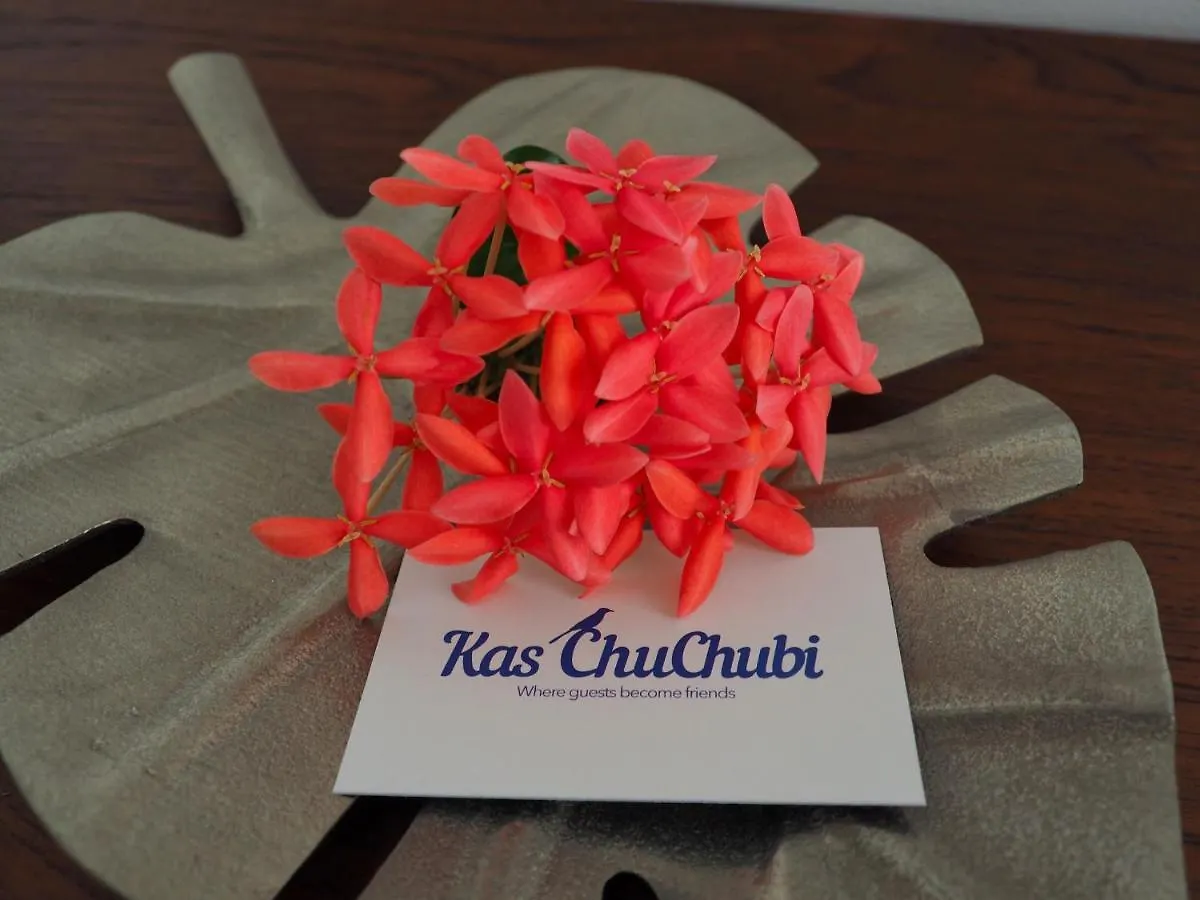 B&B Kas Chuchubi Kralendijk Frühstückspension