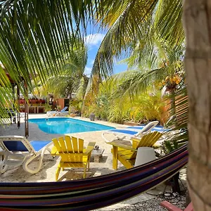 Oasis Guesthouse, Boutique Style Kralendijk
